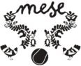 M.E.S.E Tenisz